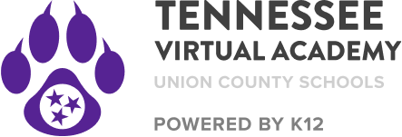 Tennessee Virtual Academy